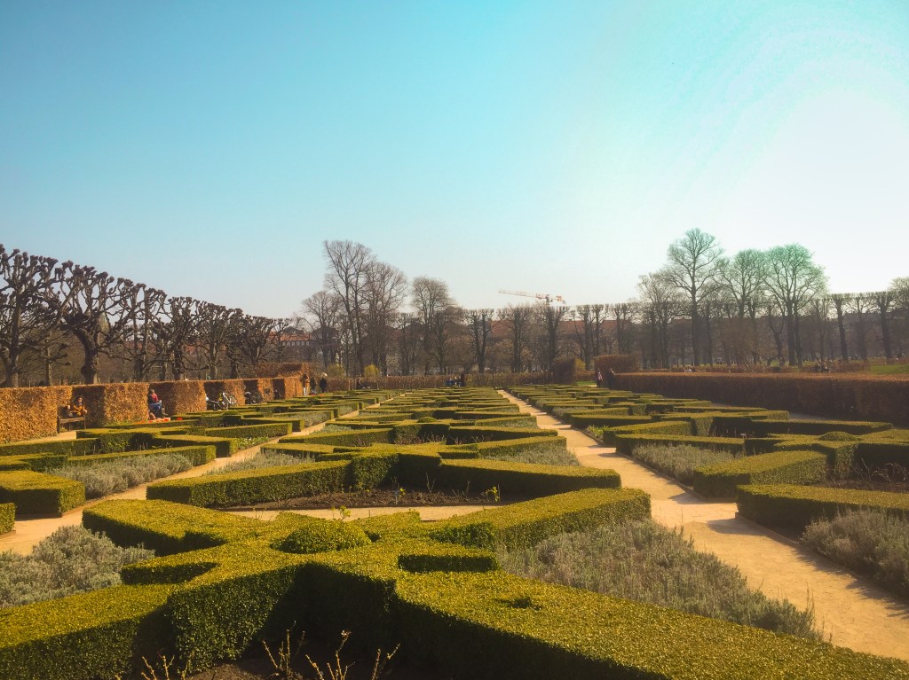 Looking back and looking forward, My Annual&nbsp;Review