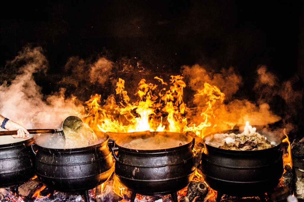 The Art of Culinary Discovery: 9 Reasons to Embark on a Cooking&nbsp;Journey